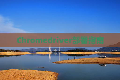 Chromedriver部署指南